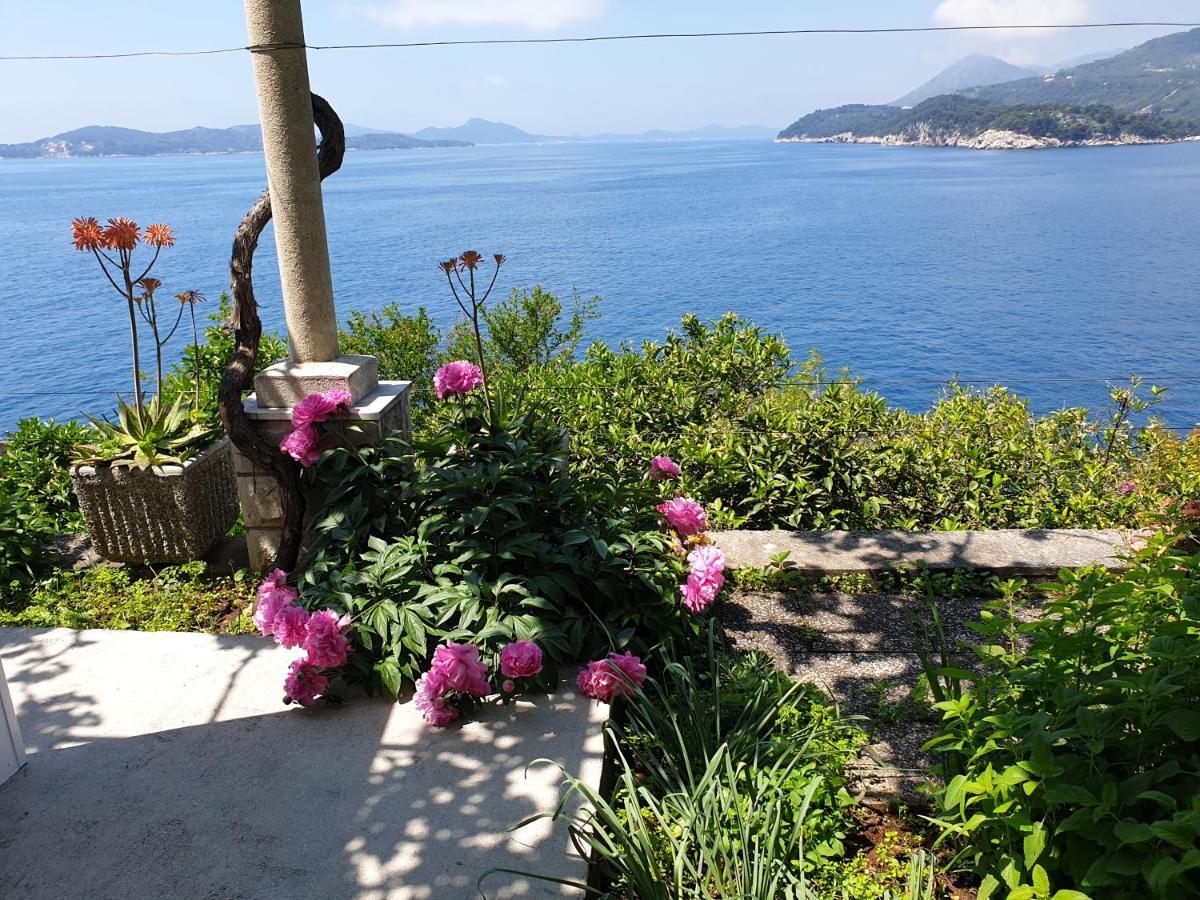 Apartments Bajo - Free Parking Dubrovnik Luaran gambar