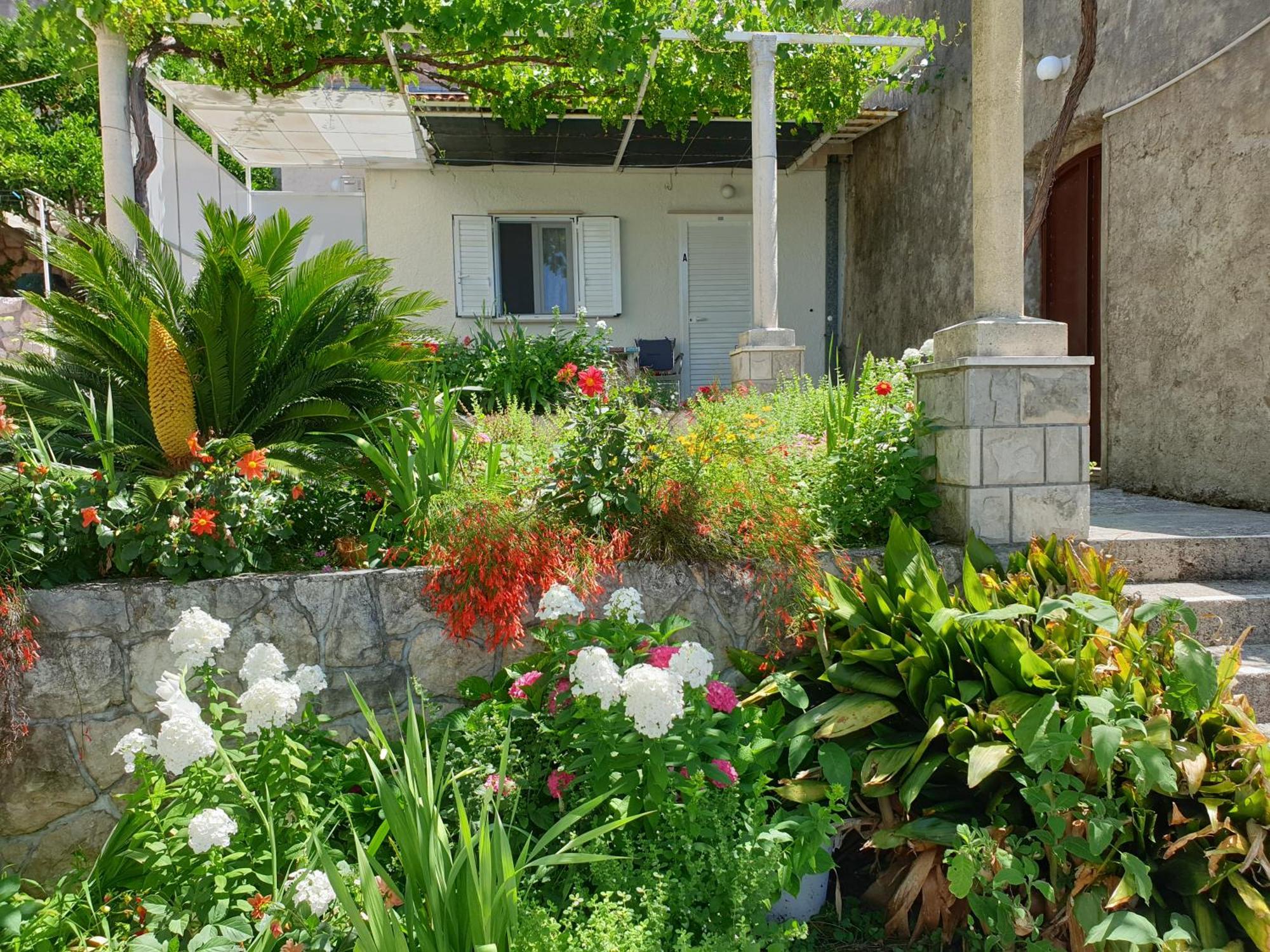 Apartments Bajo - Free Parking Dubrovnik Luaran gambar