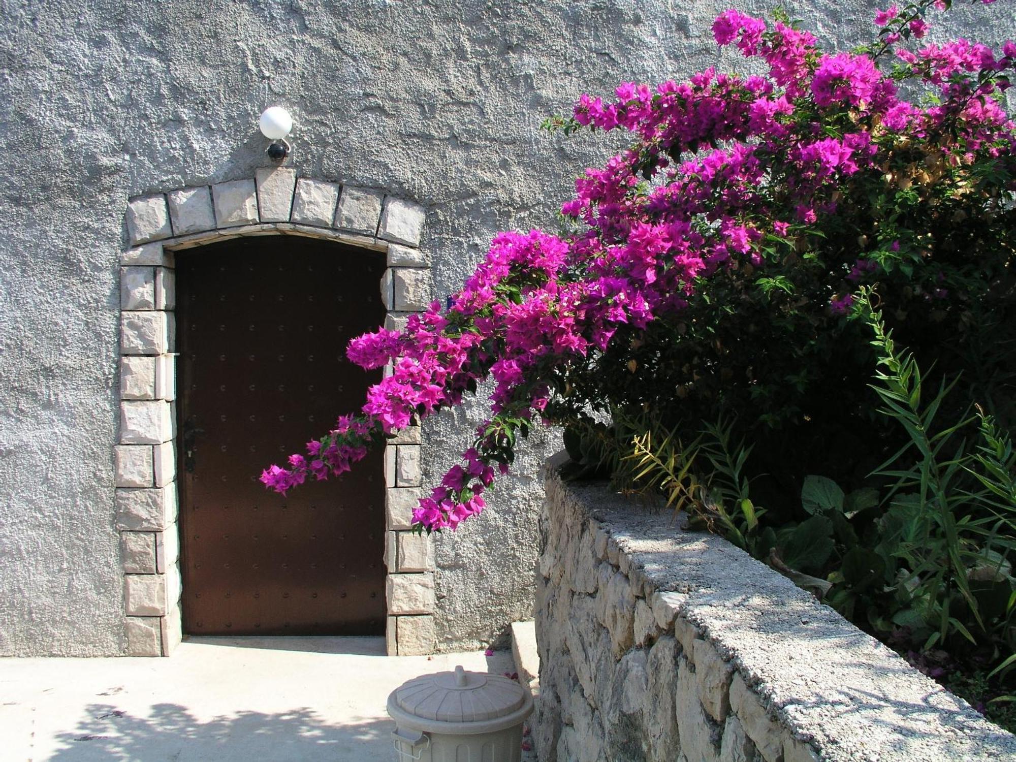 Apartments Bajo - Free Parking Dubrovnik Luaran gambar