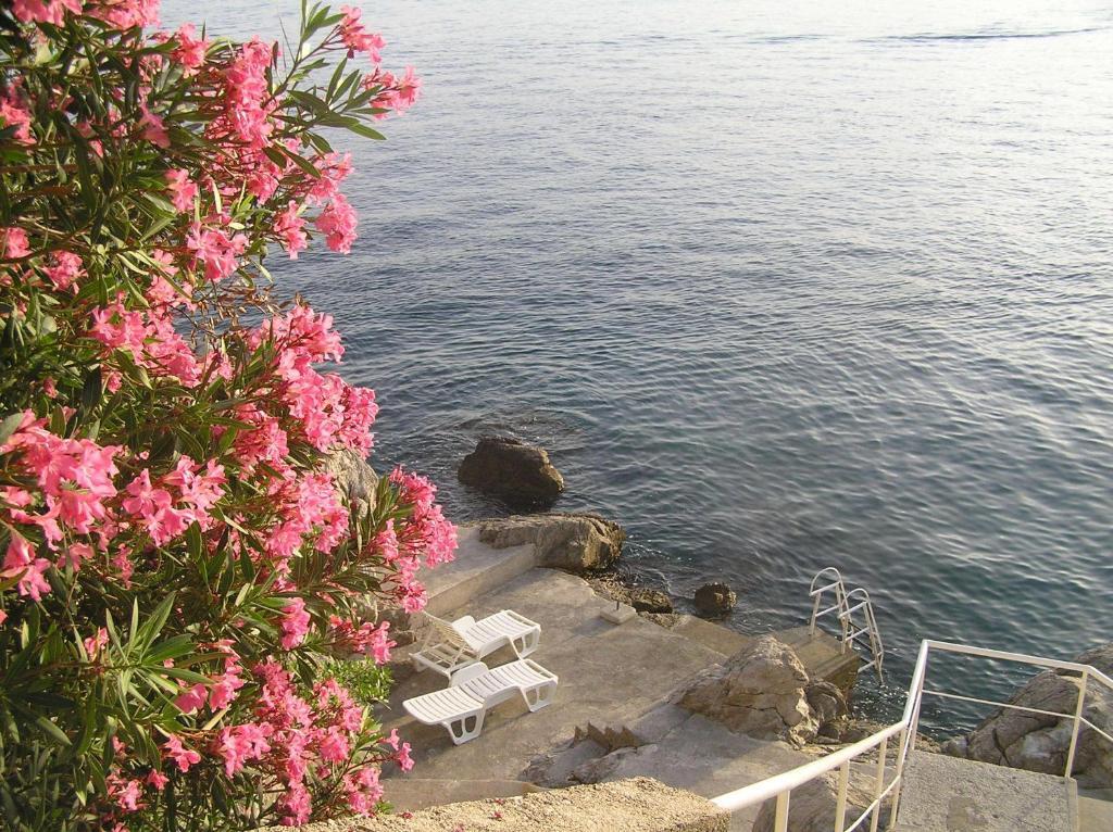 Apartments Bajo - Free Parking Dubrovnik Luaran gambar